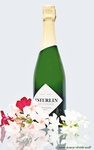 Champagne Ésterlin Blanc de Blancs, 0,75l     12% vol. alc.