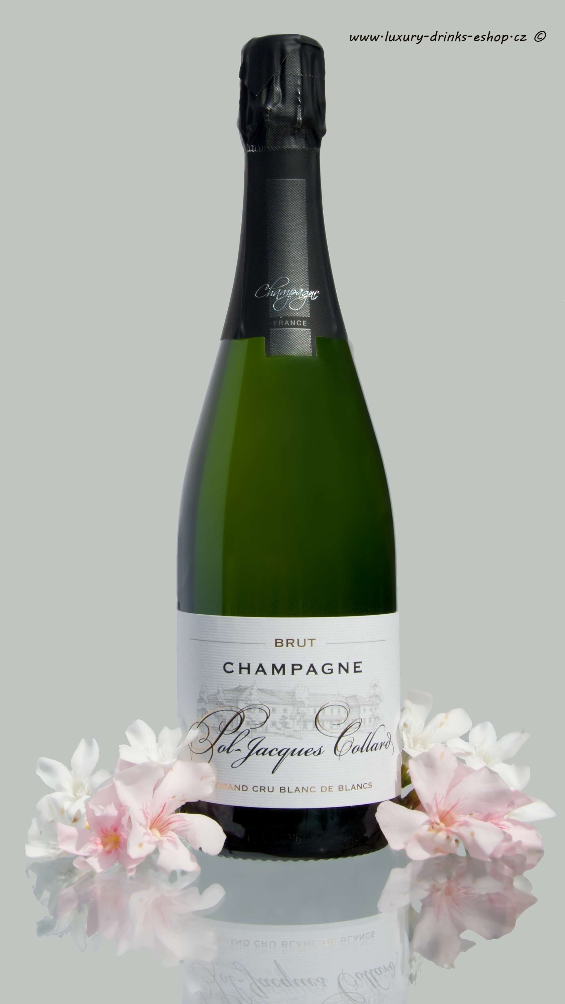Champagne / šumivá vína